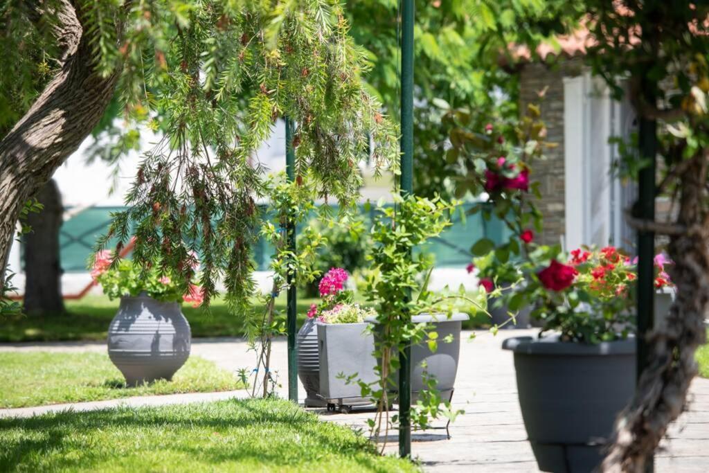 Villa Nuestro Jardín Sykia Chalkidikis Exterior foto
