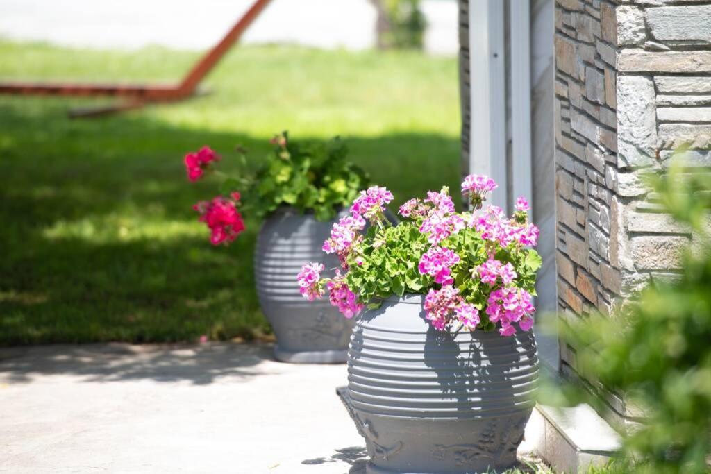 Villa Nuestro Jardín Sykia Chalkidikis Exterior foto
